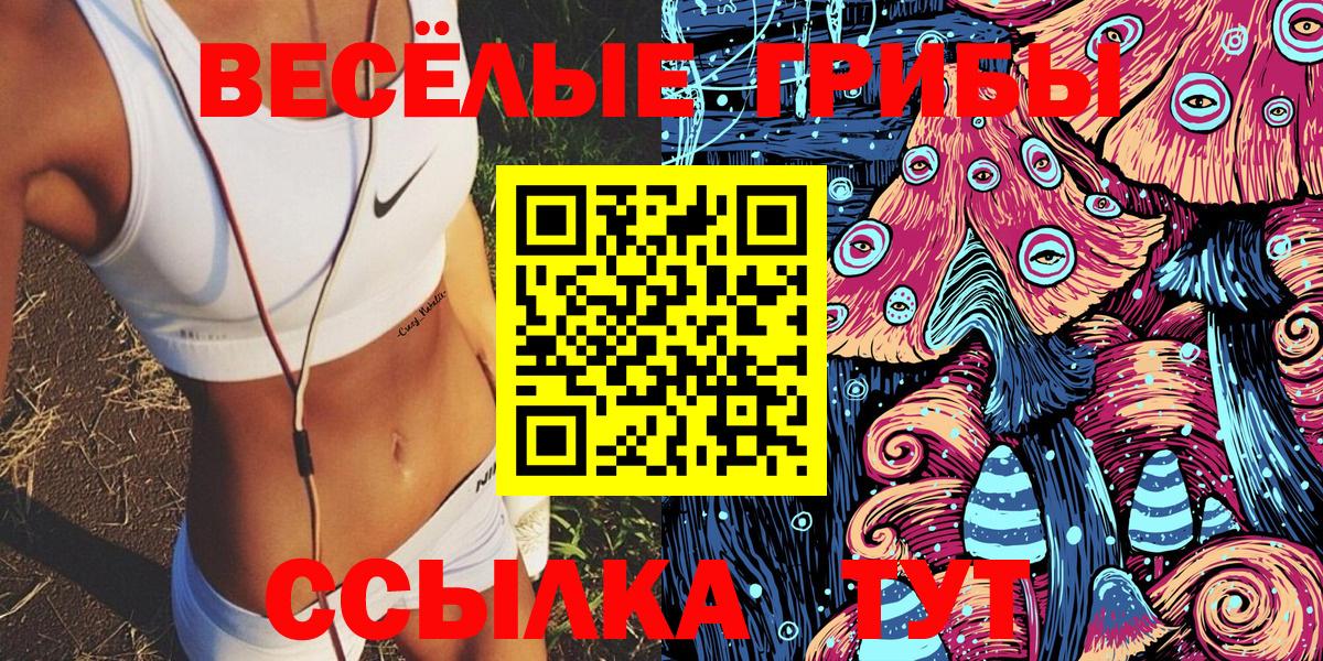 Галлюциногенные грибы GOLDEN TEACHER  Вход с VPN  Георгиевск 